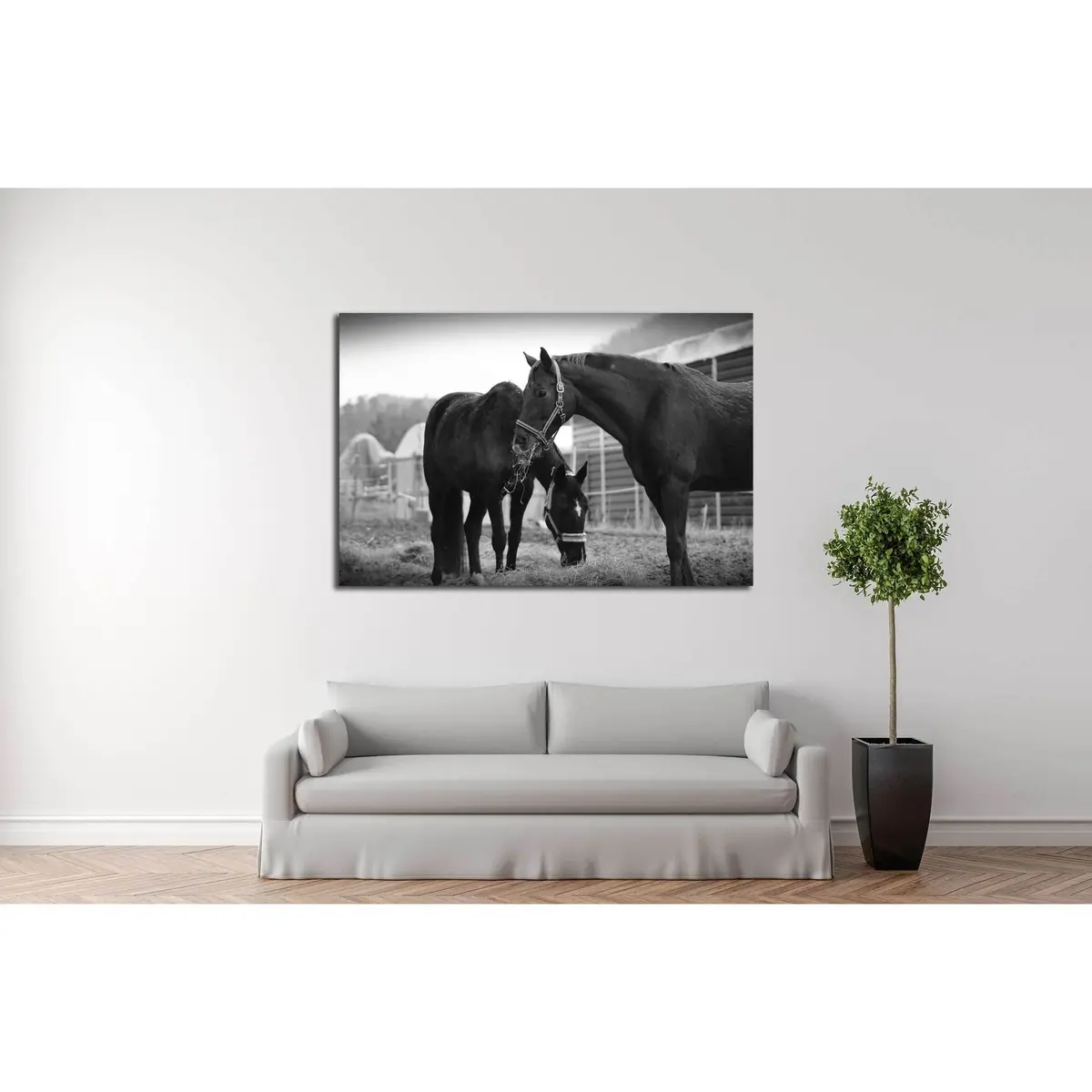 Black And White Horse Wall Art №5008 3