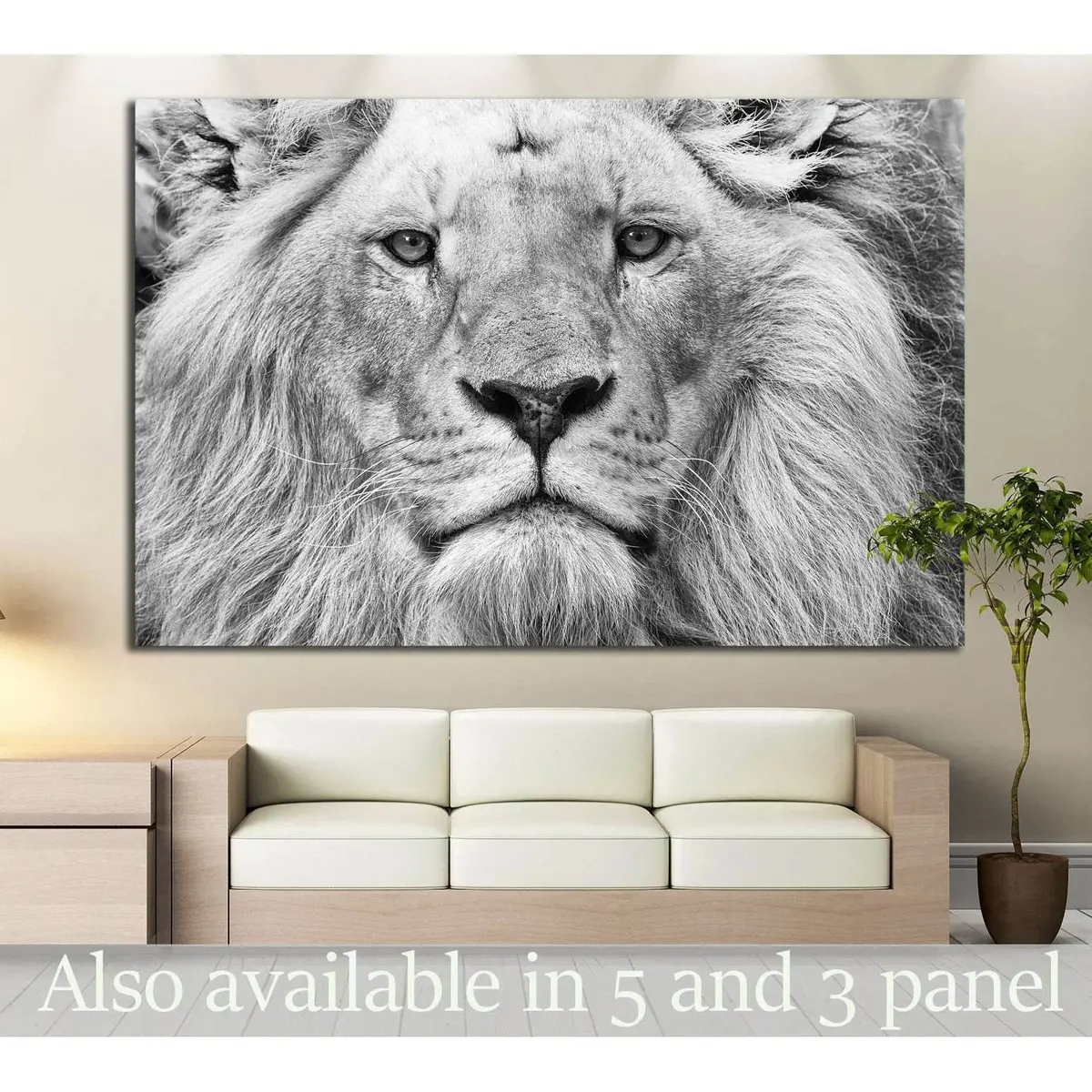 Black And White Lion №187 Ready To Hang Canvas Print 1