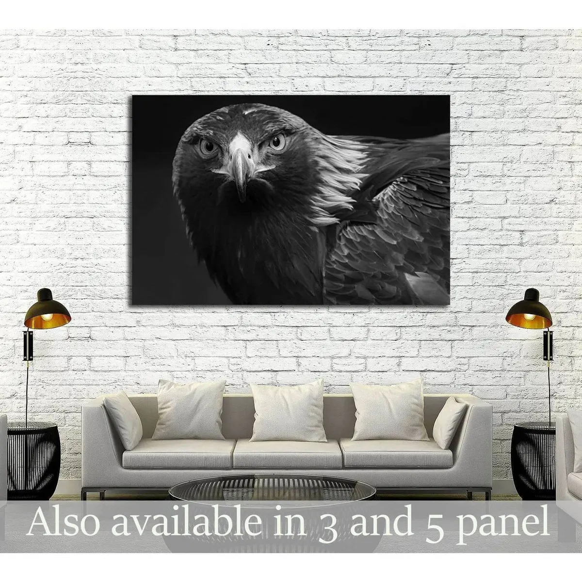 Black And White Photo Of A Golden Eagle In Captivity In A Zoo №2794 Ready To Hang Canvas Print 1