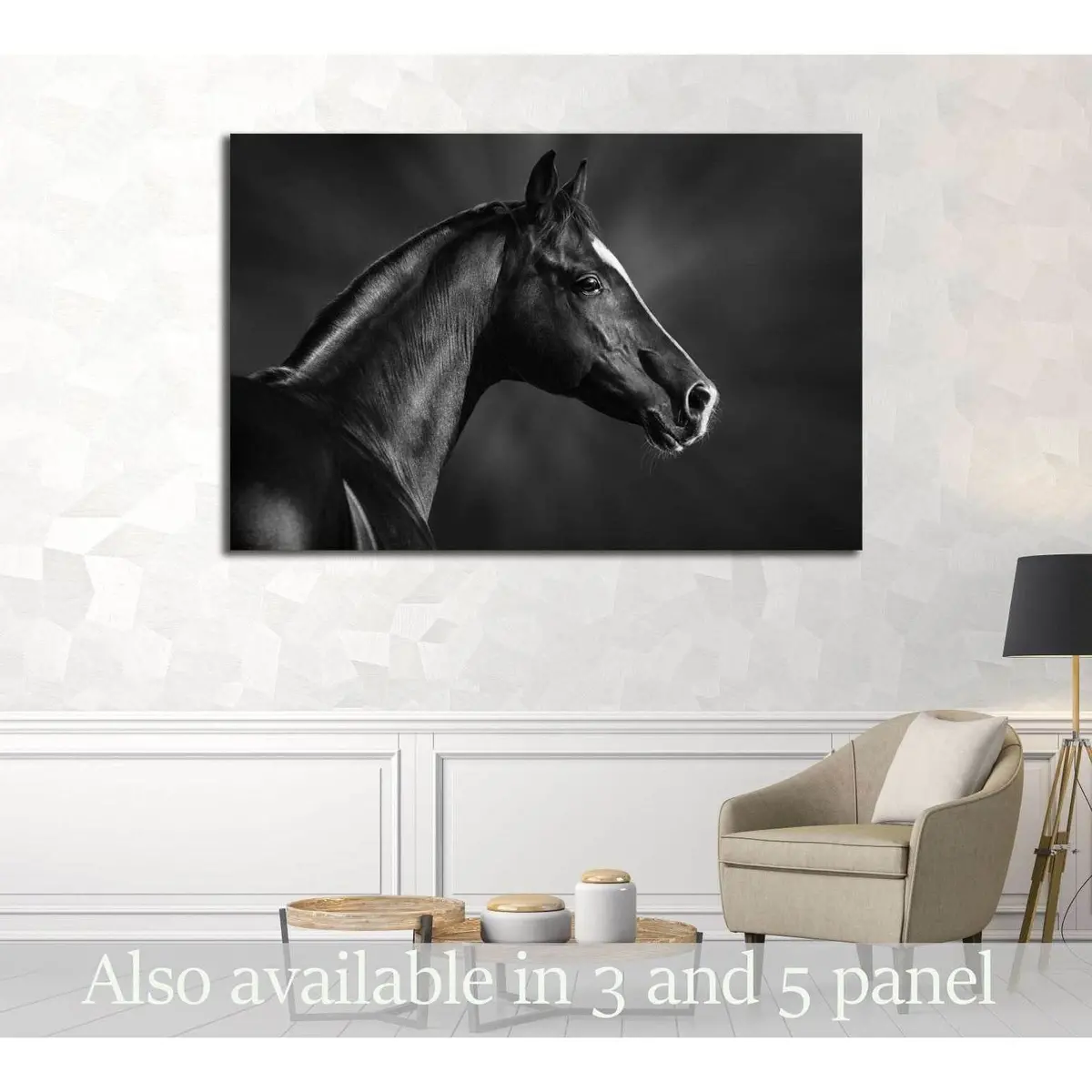 Black And White Portrait Of Arabian Horse №3259 Ready To Hang Canvas Print 1