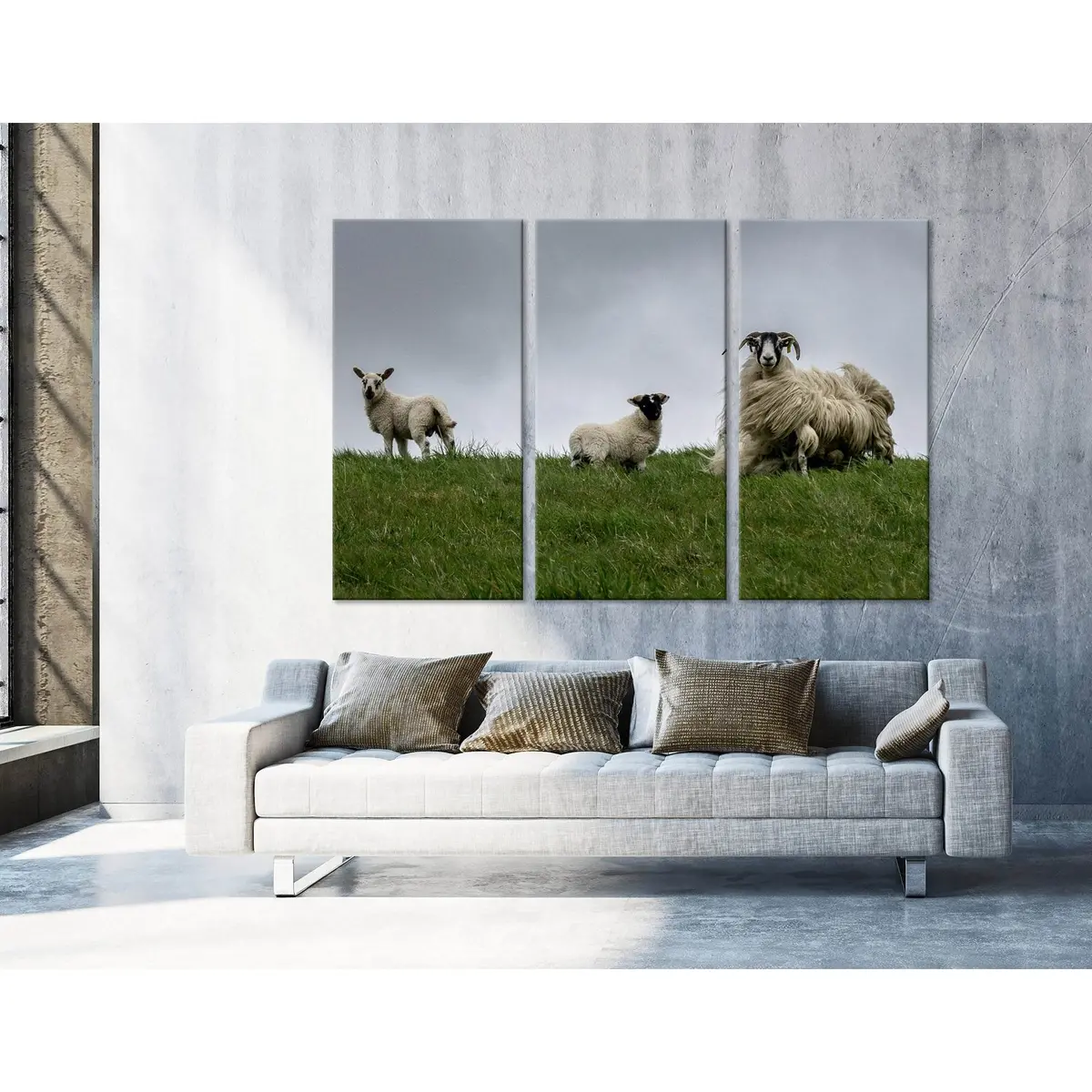Black-Face Sheeps In The Wind, Scotland №04236 Ready To Hang Canvas Print 5