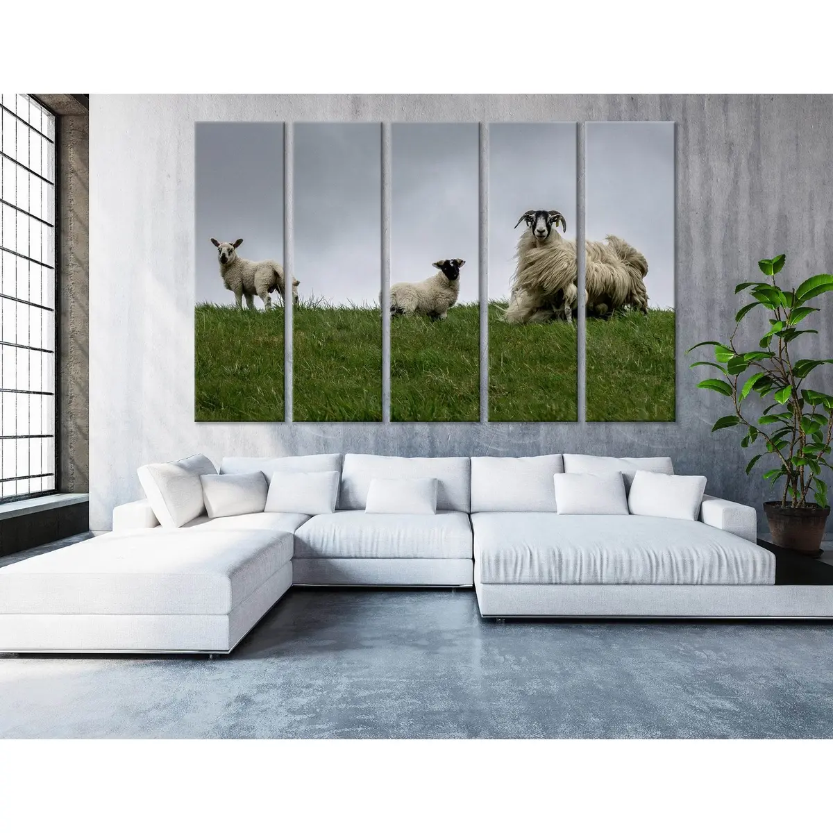 Wind-Swept Black-Face Sheep in the Scottish Highlands — Ready-to-Hang Canvas Wall Art