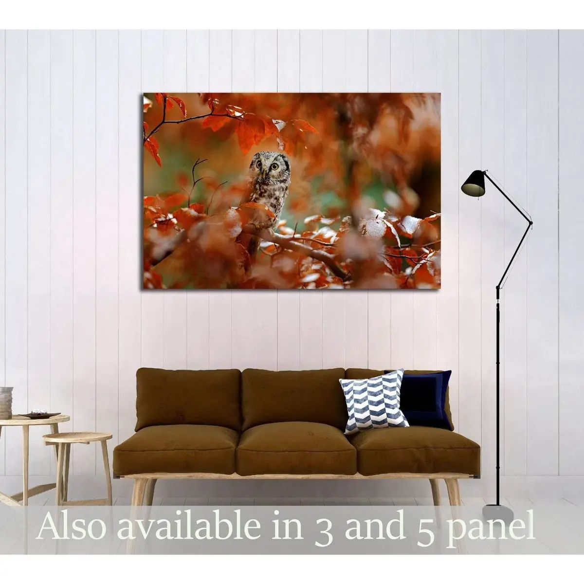 Boreal Owl, Aegolius Funereus, In The Orange Larch Autumn Forest In Central Europe №2801 Ready To Hang Canvas Print 1