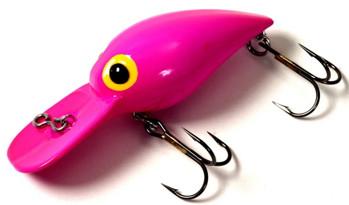 Brad's Magnum Wigglers Zzz 1