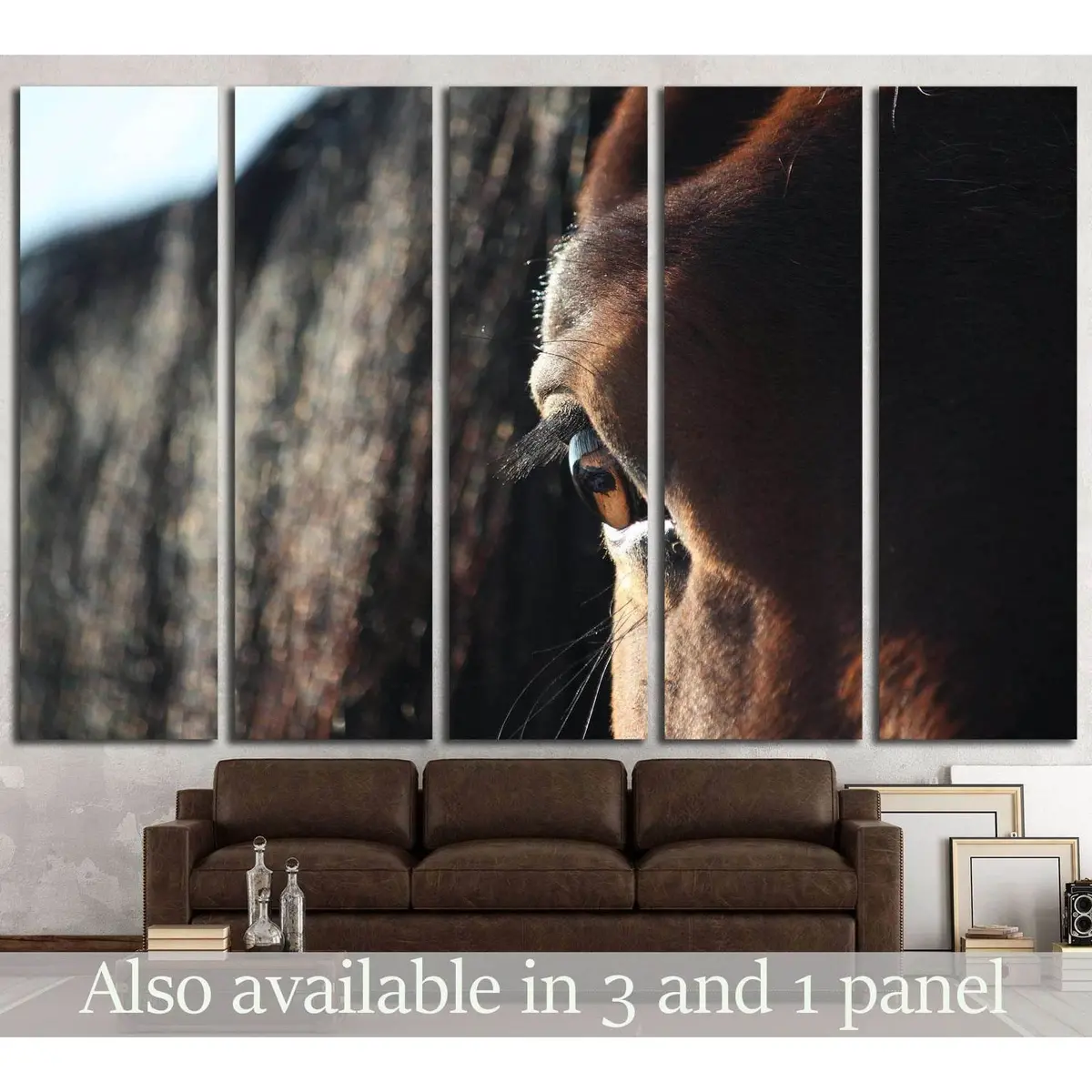 Brown Horse Eye Close-Up Canvas Wall Art – Ready-to-Hang Print #1841