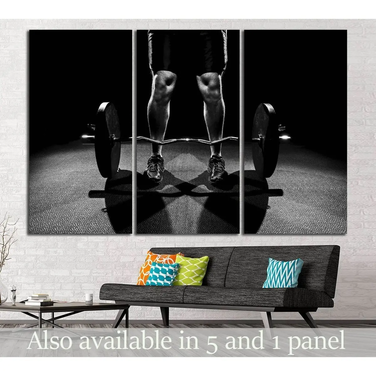 Burbell Wall Art №203 Ready To Hang Canvas Print 5