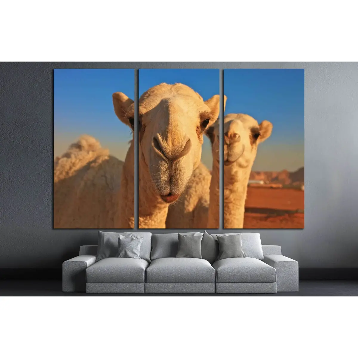 Camel №2343 Ready To Hang Canvas Print 5