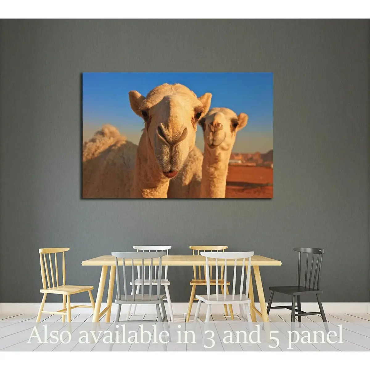 Camel №2343 Ready To Hang Canvas Print 1