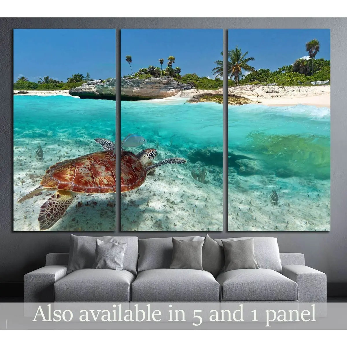 Caribbean Sea Scenery With Green Turtle In Mexico №2502 Ready To Hang Canvas Print 5