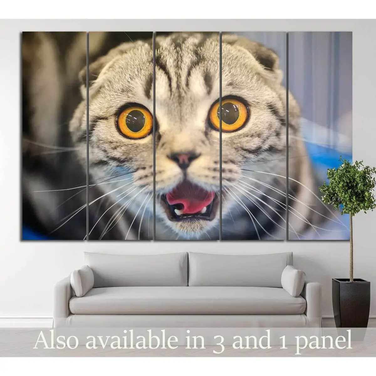 Yellow-Eyed Cat Canvas Wall Art Print #14