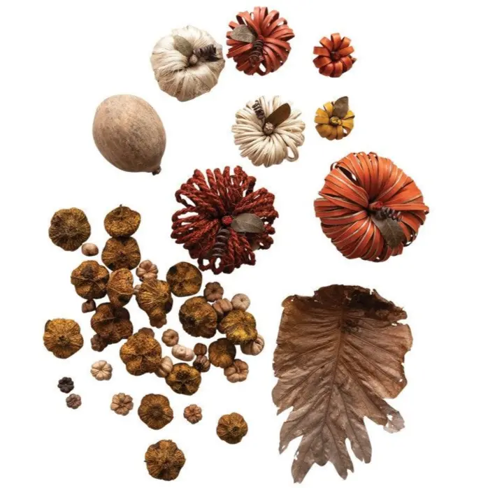 Dried Natural Organic Pumpkin-Shaped Pieces (Assorted) - 8 Oz. 1