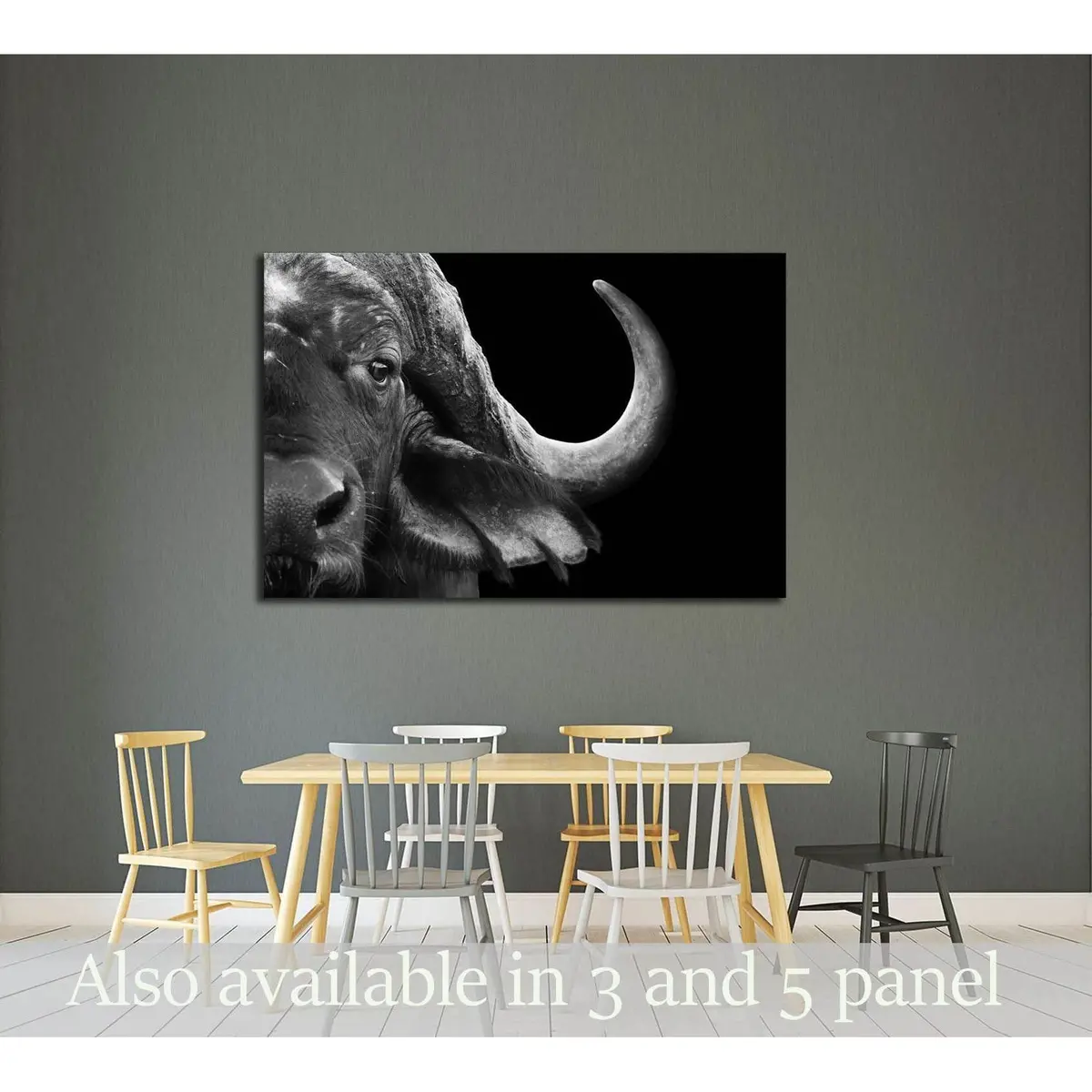 Close Up Black And White Image Of An African Cape Buffalo №2791 Ready To Hang Canvas Print 1