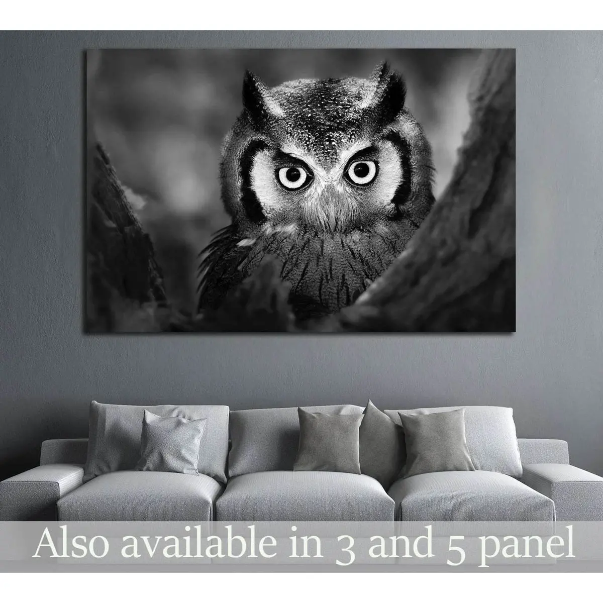 Close-Up Of A Whitefaced Owl №1842 Ready To Hang Canvas Print 1