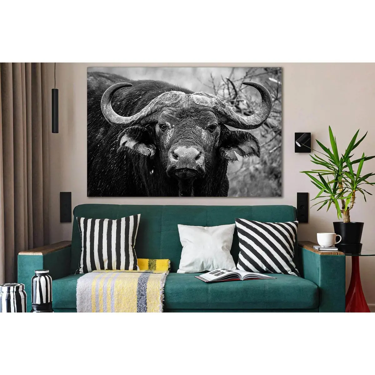 Close Up Of Buffalo №Sl890 Ready To Hang Canvas Print 1