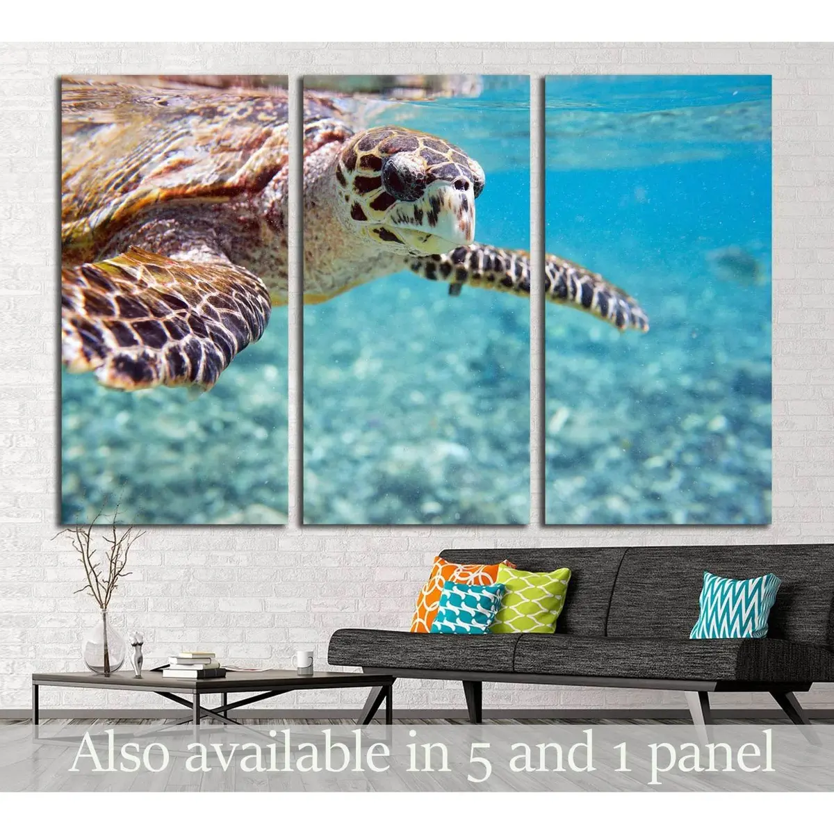 Close Up Of Hawksbill Sea Turtle Swimming In Indian Ocean In Seychelles №2337 Ready To Hang Canvas Print 5