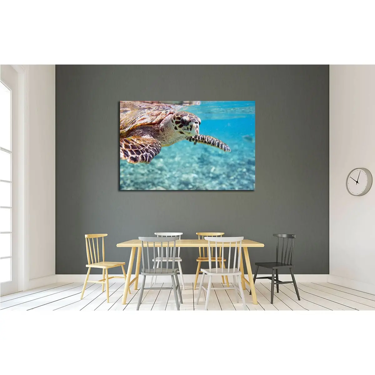 Close Up Of Hawksbill Sea Turtle Swimming In Indian Ocean In Seychelles №2337 Ready To Hang Canvas Print 3