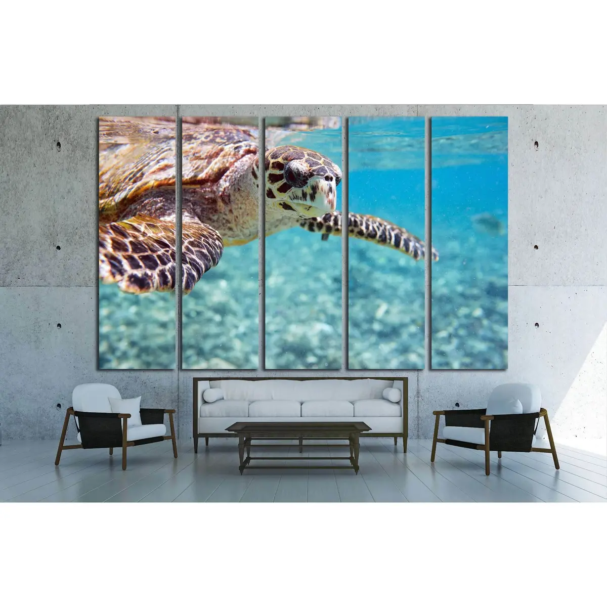 Hawksbill Sea Turtle Swimming in the Indian Ocean, Seychelles — Canvas Wall Art Print #2337 - Image 3