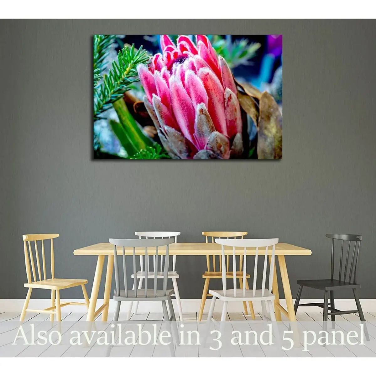 Close Up Of Protea Flower №3271 Ready To Hang Canvas Print 1