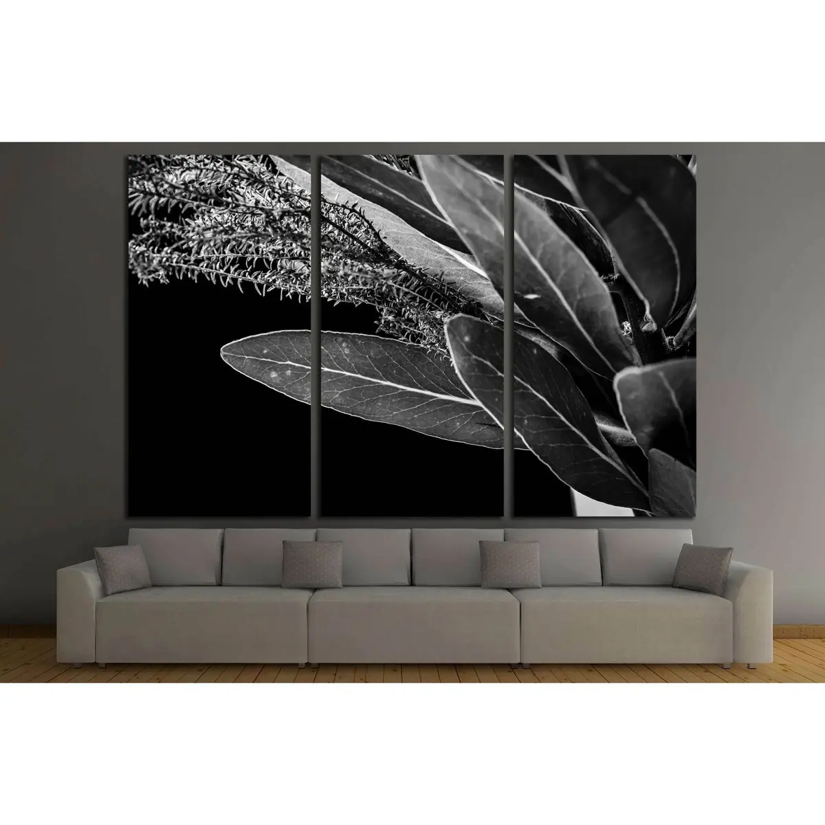 Close Up Of Protea (Leaf) Flowers №2827 Ready To Hang Canvas Print 5