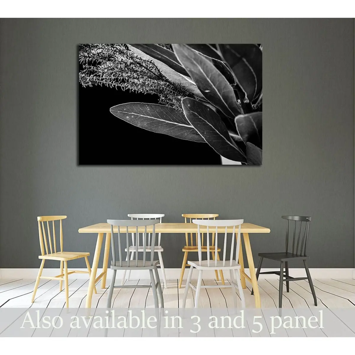 Close Up Of Protea (Leaf) Flowers №2827 Ready To Hang Canvas Print 1
