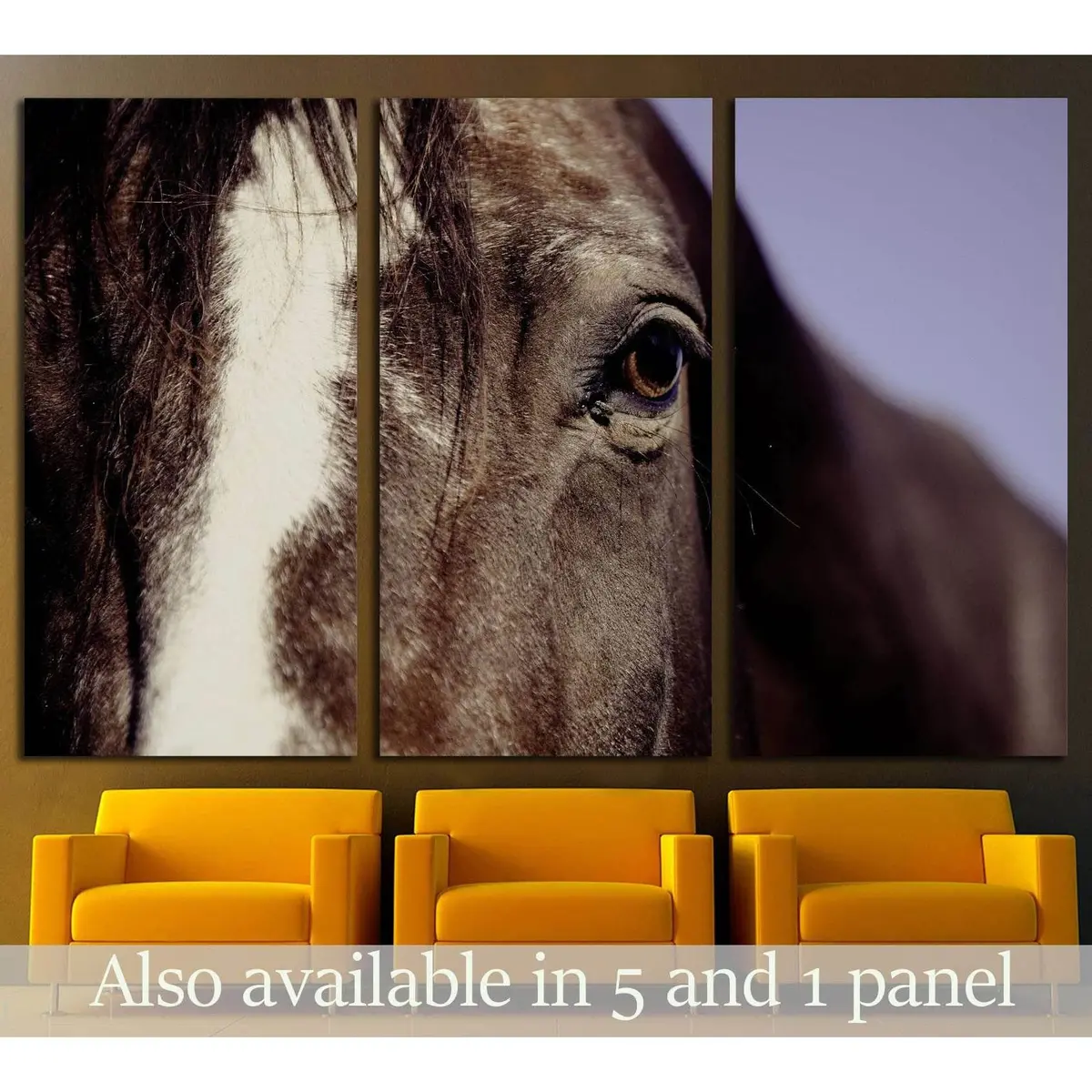 Closeup Horse Canvas Print №5017 5