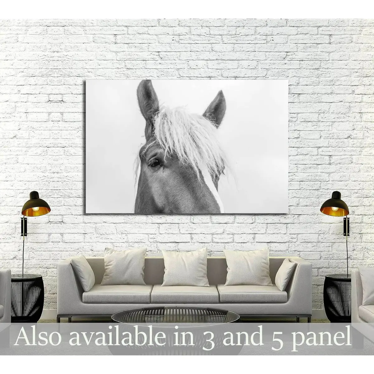 Closeup Horse Wall Art №5007 1