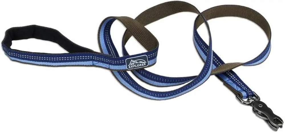 Coastal Pet Products 6 Ft. K9 Explorer Reflective Leash With Scissor Snap - Sapphire Blue 1