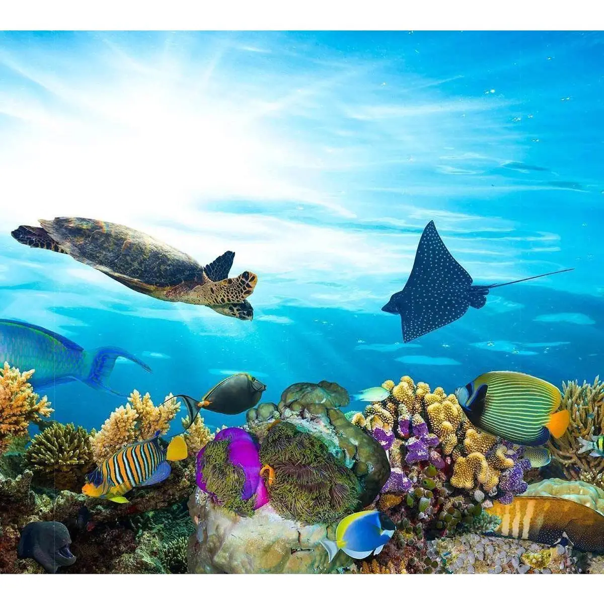 Colorful Coral Reef Large Ready To Hang Canvas Print №45 Ready To Hang Canvas Print 2