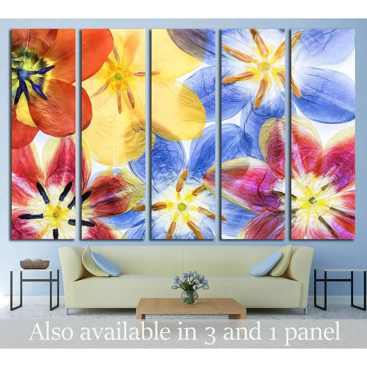 Vibrant Pressed Tulip Canvas Art Print №1354 – Pre-Hung Wall Decor