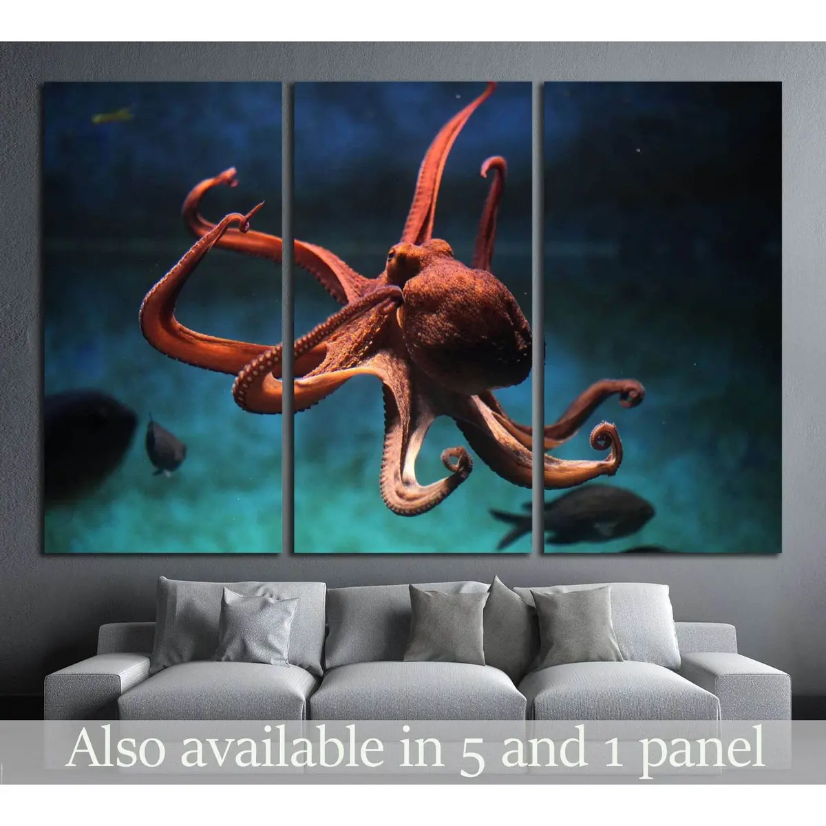 Common Octopus (Octopus Vulgaris). Wildlife Animal №1856 Ready To Hang Canvas Print 5