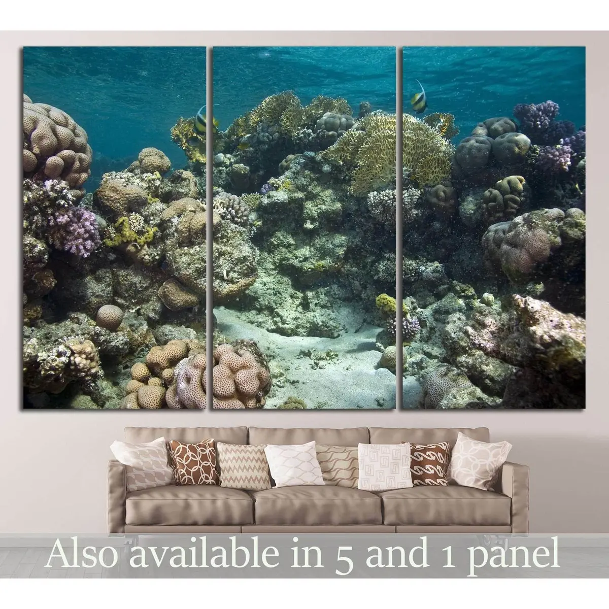 Coral And Fish №836 Ready To Hang Canvas Print 5