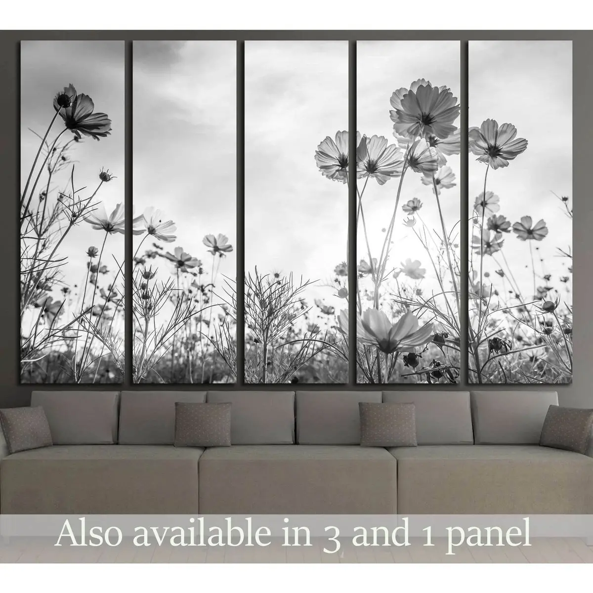 Ready-to-Hang Cosmos Flower Canvas Print on Monochrome Background