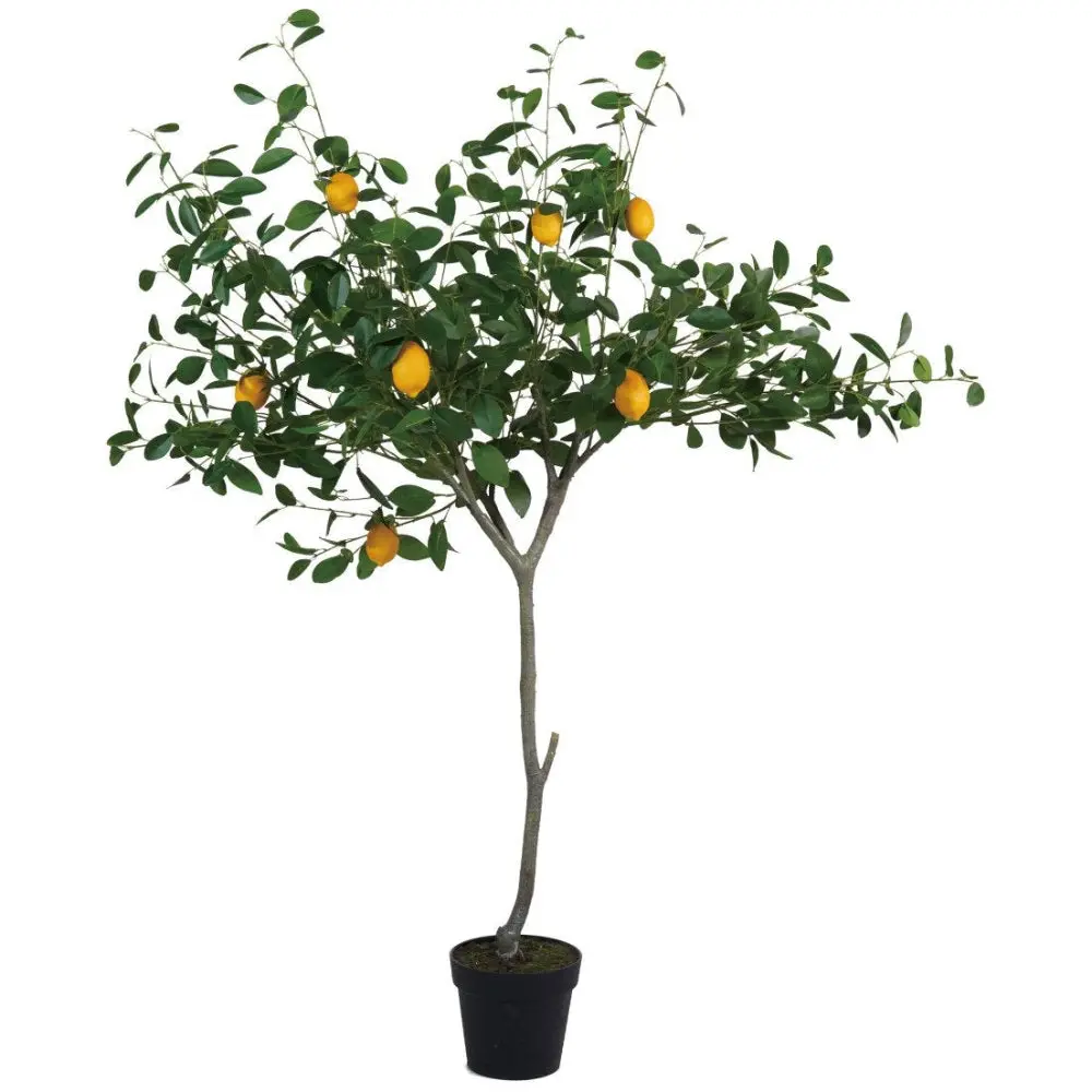 Faux Lemon Tree W/ Plastic Pot - 5' 1