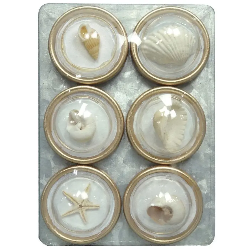Round Resin Sea Shell Refrigerator Magnets - 6 Pc. 1