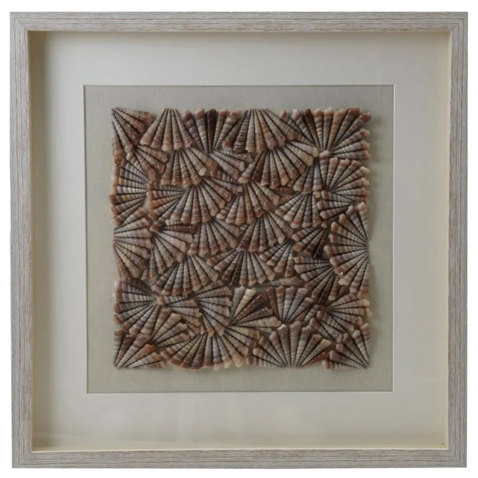 Framed Spiral Shell Shadow Box Wall Décor - 23.5" X 23.5" 1