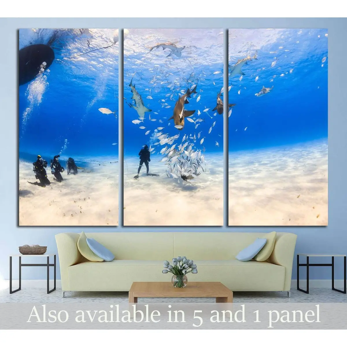 Diver Surrounded By Lemon Shark And Caribbean Reef Shark On Shallow Clear Water At Tiger Beach, Bahamas №2372 Ready To Hang Canvas Print 5