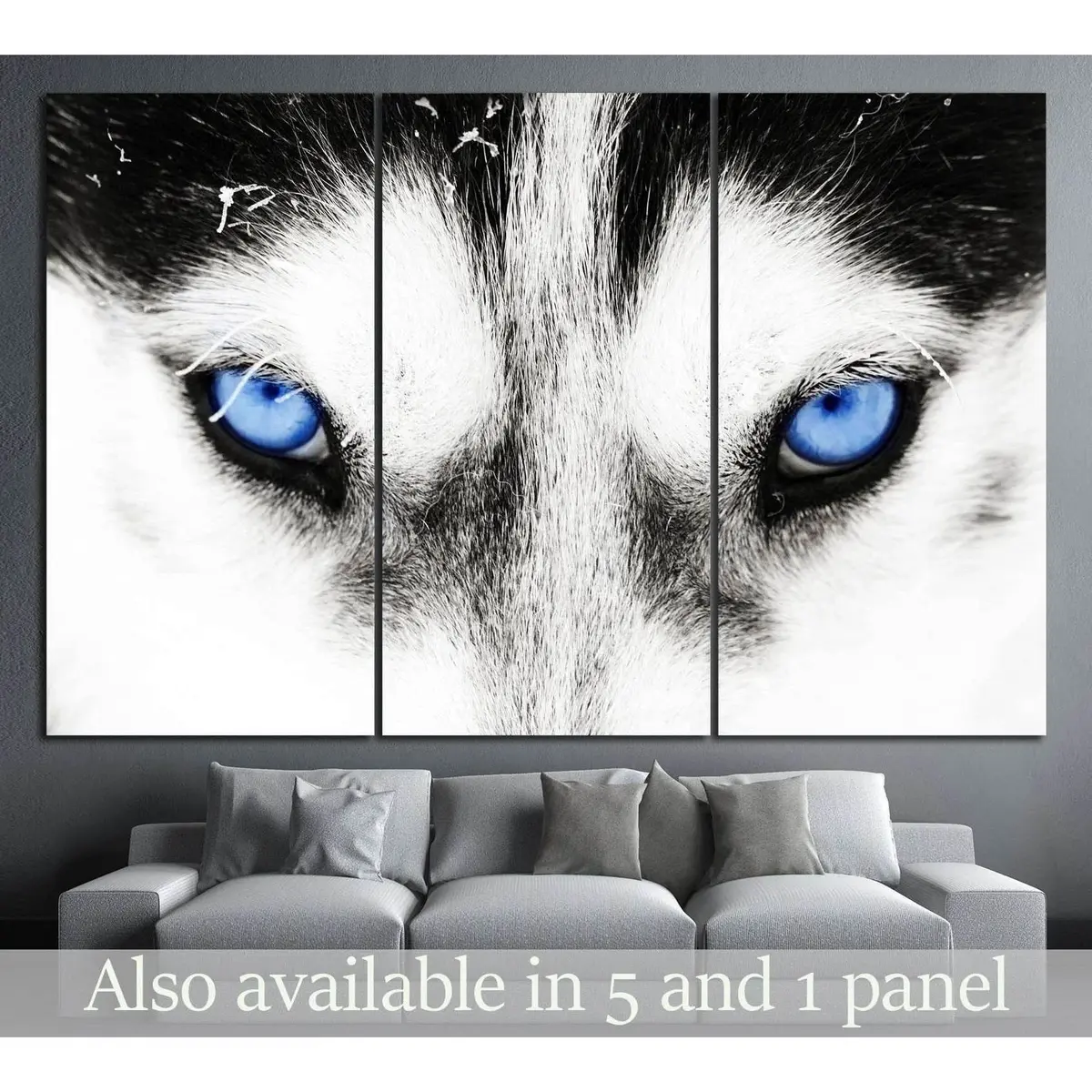 Dogs Blue Eyes №10 Ready To Hang Canvas Print 5