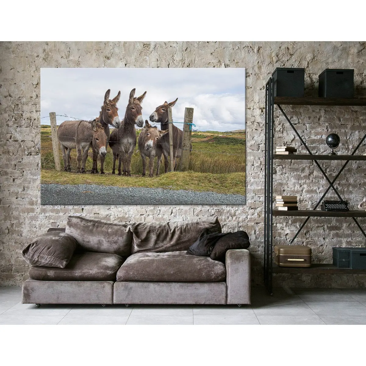 Donkeys In The Countryside №04252 Ready To Hang Canvas Print 3