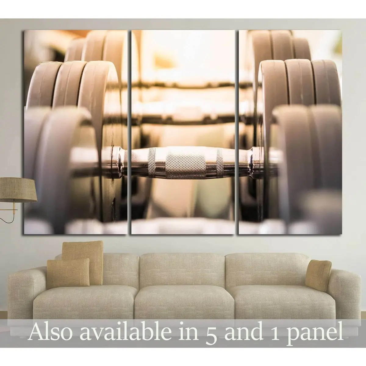 Dumbbless №197 Ready To Hang Canvas Print 1