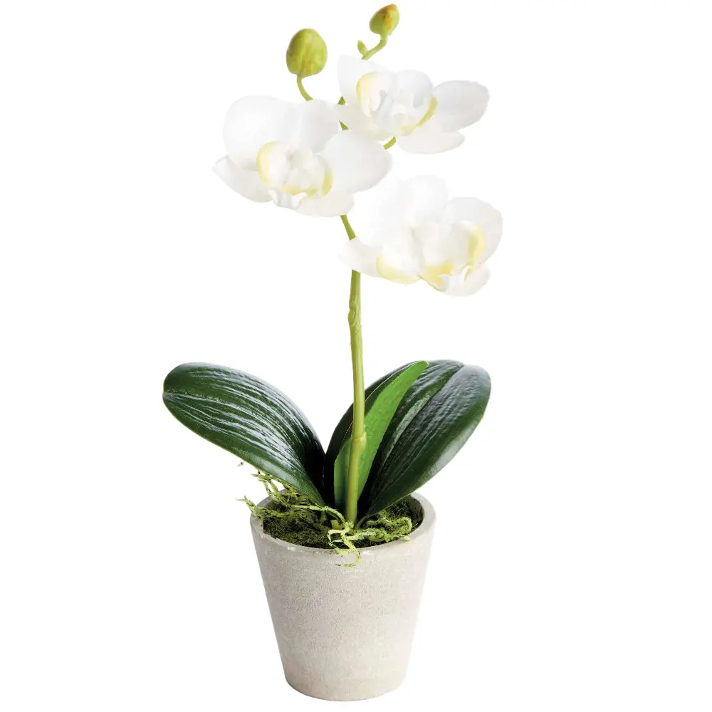 Napa Potted Faux Mini Phalaenopsis Orchid - 9" 1