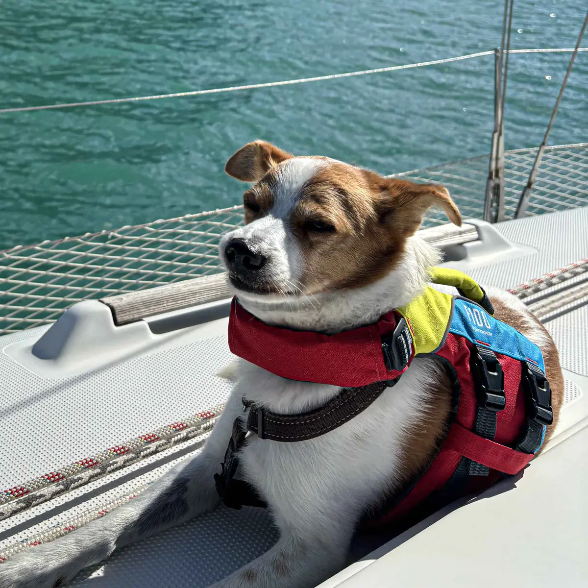 Spinlock Fido Pet Float 1