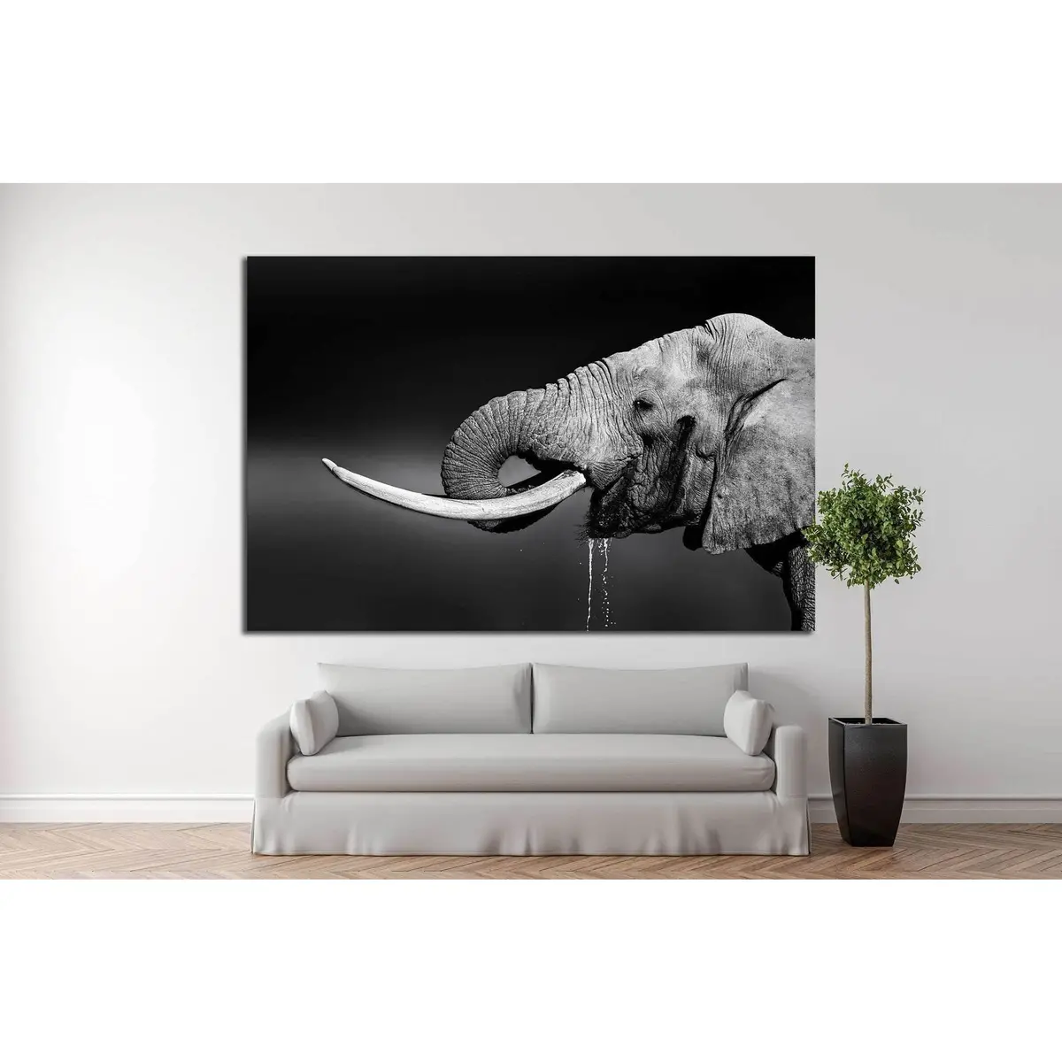 Elephant Bull With Large Tusks In Addo National Park №1330 Ready To Hang Canvas Print 2