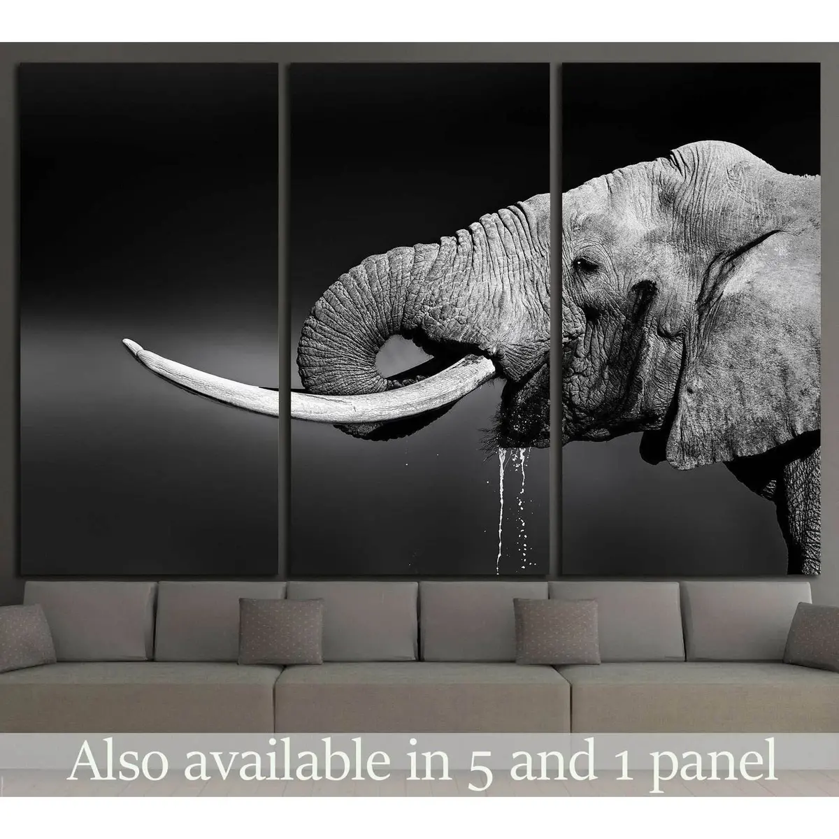 Elephant Bull With Large Tusks In Addo National Park №1330 Ready To Hang Canvas Print 5