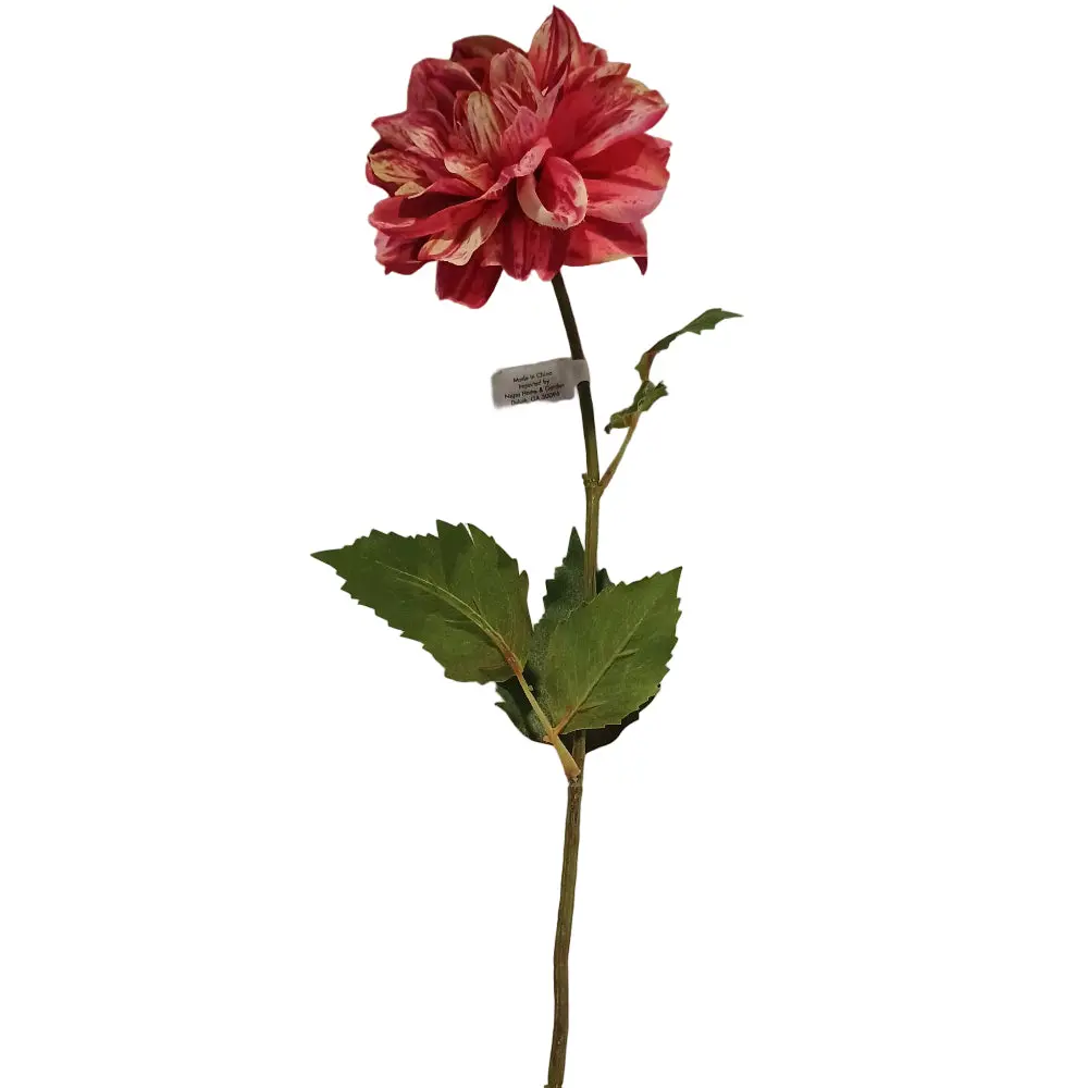 Napa Faux Dahlia Stem - 19" To 26" 3