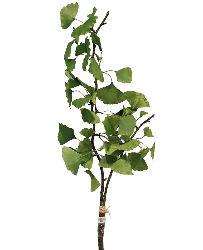 Napa Faux Ginkgo Branch Pair - 36" 1