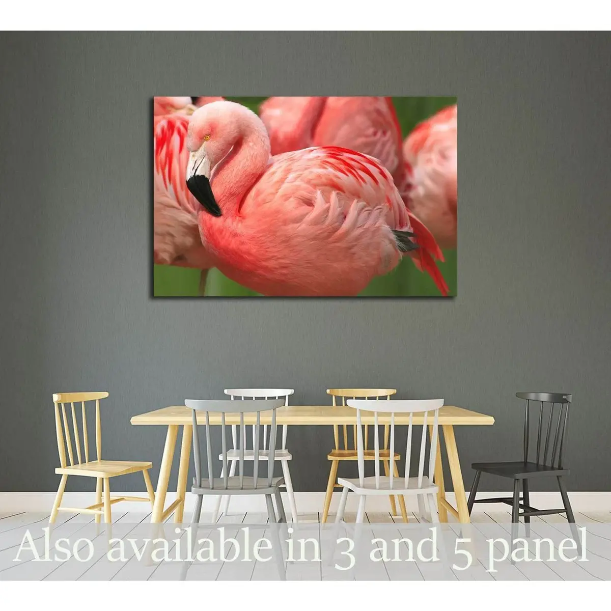 Flamingo Close Up №2799 Ready To Hang Canvas Print 1