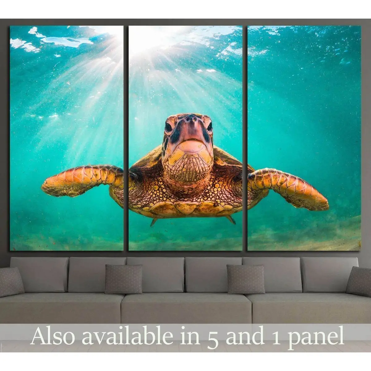 Hawaiian Green Sea Turtle, Pacific Ocean In Hawaii №1859 Ready To Hang Canvas Print 5