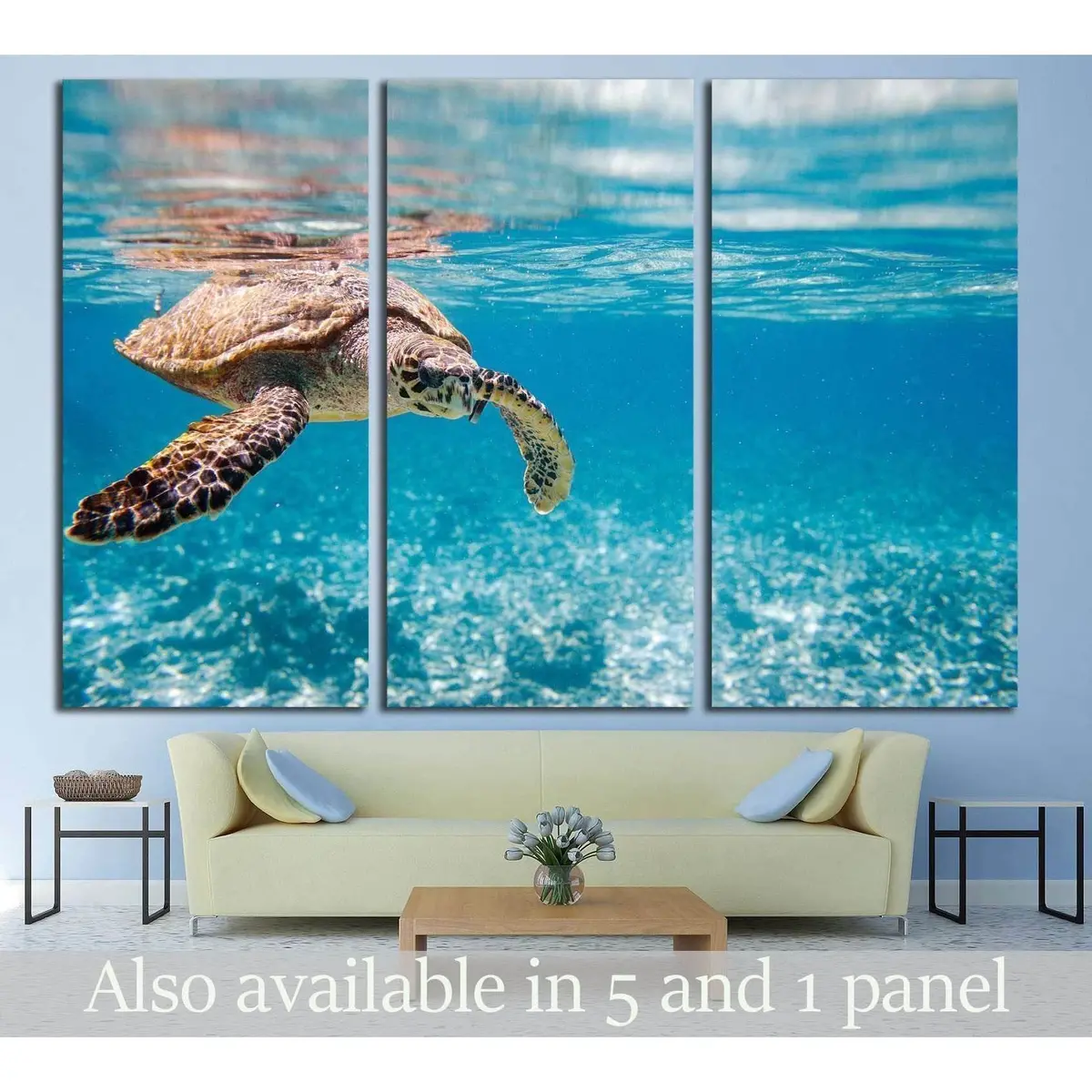 Hawksbill Sea Turtle Swimming In Indian Ocean In Seychelles №2336 Ready To Hang Canvas Print 5