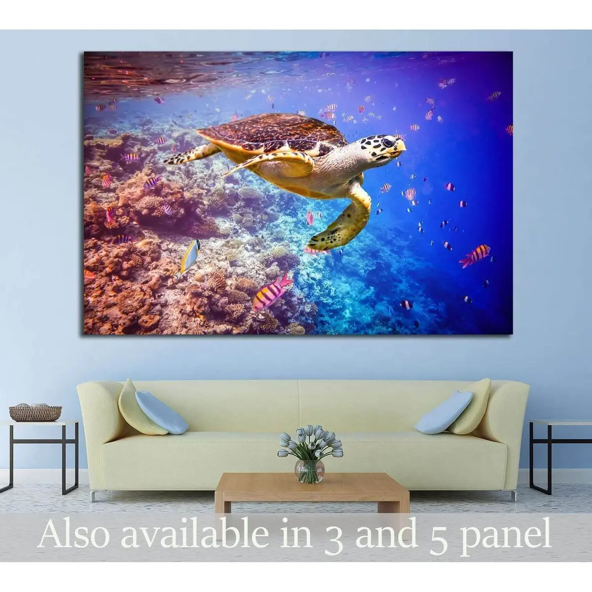 Hawksbill Turtle, Maldives, Ocean Coral Reef №1398 Ready To Hang Canvas Print 1