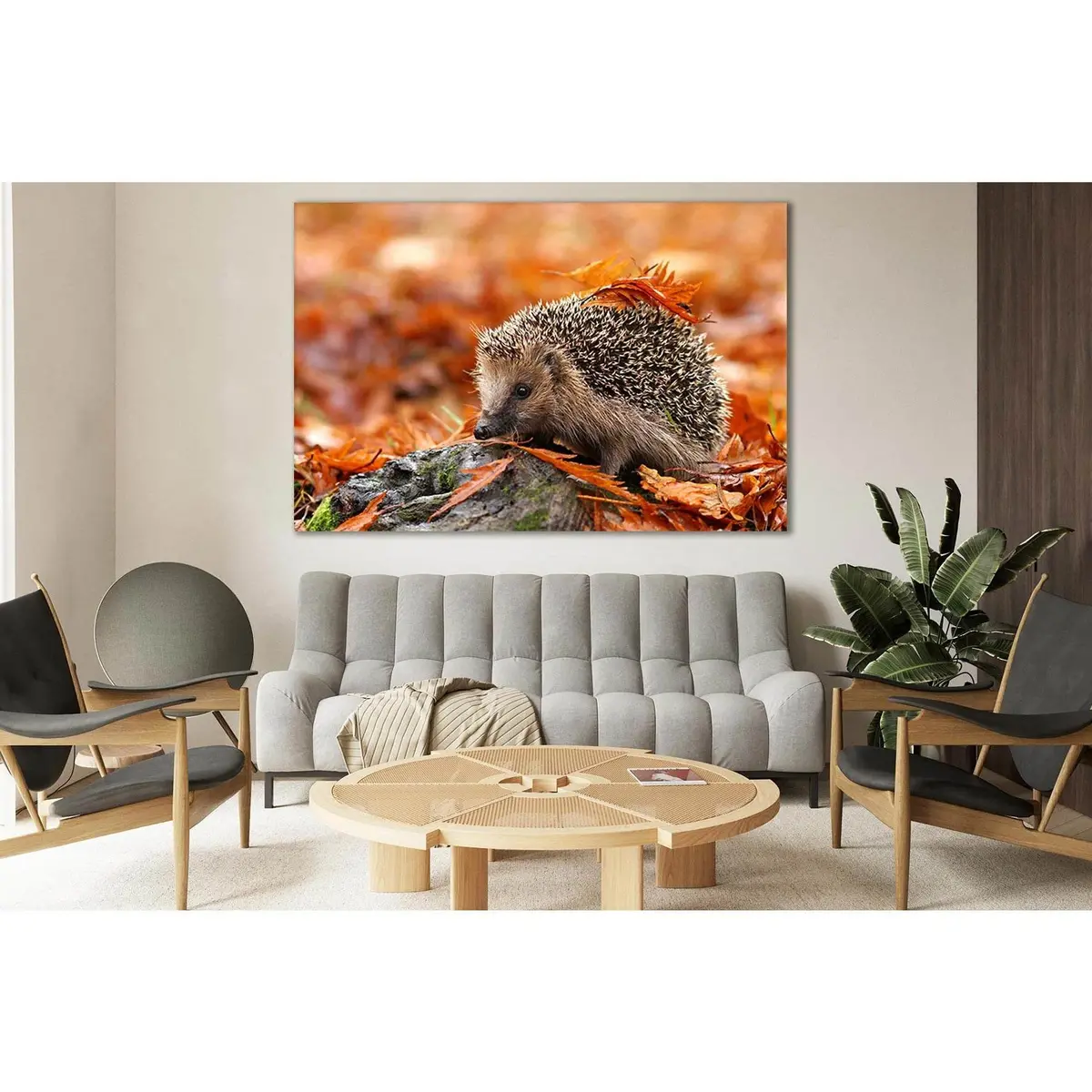 Hedgehog In Autumn Leaves №Sl626 Ready To Hang Canvas Print 1